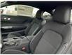 2024 Ford Mustang EcoBoost (Stk: 24M4214) in Mississauga - Image 14 of 28
