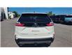 2024 Ford Edge Titanium (Stk: 024002) in Madoc - Image 6 of 25