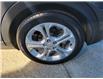 2019 Chevrolet Bolt EV LT (Stk: D23C105A) in Port Alberni - Image 12 of 28