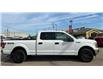 2019 Ford F-150 XLT (Stk: P39254C) in Saskatoon - Image 4 of 19