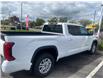 2023 Toyota Tundra SR5 (Stk: TU2313) in Niagara Falls - Image 3 of 7