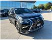 2023 Lexus GX 460  (Stk: 15102688A) in Richmond Hill - Image 6 of 32