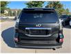 2023 Lexus GX 460  (Stk: 15102688A) in Richmond Hill - Image 12 of 32