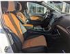 2024 Ford Edge Titanium (Stk: 24004) in High River - Image 14 of 25