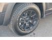 2023 Jeep Cherokee Trailhawk (Stk: 15565) in Brampton - Image 8 of 26