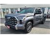 2022 Toyota Tundra Hybrid Platinum (Stk: N23467A) in Timmins - Image 2 of 24