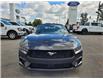 2024 Ford Mustang EcoBoost Premium (Stk: M40845) in GEORGETOWN - Image 3 of 7