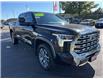 2023 Toyota Tundra Platinum (Stk: 234072A) in Burlington - Image 7 of 24