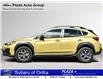 2023 Subaru Crosstrek Outdoor (Stk: DM4906A) in Orillia - Image 3 of 20