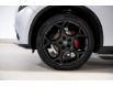 2024 Alfa Romeo Stelvio ti (Stk: AR0566) in Calgary - Image 9 of 26