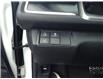 2019 Honda Civic Sport (Stk: 230636) in Kingston - Image 14 of 24