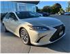 2023 Lexus ES 300h  (Stk: 15U2323) in Richmond Hill - Image 6 of 30