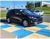 2020 Ford Escape SE (Stk: 43728A) in Mount Pearl - Image 3 of 17