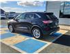 2020 Ford Escape SE (Stk: 43728A) in Mount Pearl - Image 6 of 17