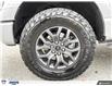 2023 Ford F-150 Tremor (Stk: P-847A) in Calgary - Image 9 of 27