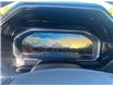 2024 Chevrolet Silverado 2500HD High Country (Stk: 13206) in Roblin - Image 22 of 25