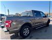 2019 Ford F-150 XLT (Stk: P39426) in Saskatoon - Image 5 of 16