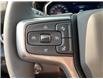 2023 Chevrolet Silverado 1500 LT (Stk: N21023) in Penticton - Image 17 of 19