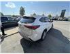 2023 Toyota Highlander HYBRID PLATINUM (Stk: 54109A) in Brampton - Image 7 of 20