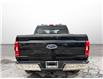 2023 Ford F-150 XLT (Stk: T3531) in St. Thomas - Image 5 of 23