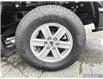 2023 Ford F-150 XLT (Stk: T3531) in St. Thomas - Image 6 of 23
