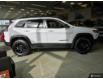 2023 Jeep Cherokee Trailhawk (Stk: PD0003) in Orangeville - Image 3 of 28