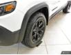 2023 Jeep Cherokee Trailhawk (Stk: PD0003) in Orangeville - Image 5 of 28