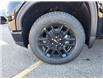 2024 GMC Sierra 1500 Elevation (Stk: RG116714) in Mississauga - Image 17 of 25