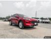 2020 Ford Escape SE (Stk: T23295-A) in Sundridge - Image 7 of 29