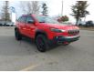 2019 Jeep Cherokee Trailhawk (Stk: N137287A) in Calgary - Image 8 of 25