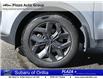 2022 Kia Sportage EX S (Stk: DM4940) in Orillia - Image 6 of 11