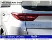 2022 Kia Sportage EX S (Stk: DM4940) in Orillia - Image 7 of 11