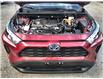 2023 Toyota RAV4 Hybrid XLE (Stk: 158775) in Ottawa - Image 24 of 24