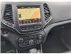 2023 Jeep Cherokee Altitude (Stk: 230460) in Windsor - Image 17 of 25