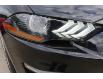 2022 Ford Mustang GT Premium (Stk: PR17768) in Windsor - Image 12 of 27