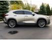 2022 Lexus NX 350h Base (Stk: TL8830) in Windsor - Image 3 of 21