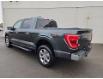 2021 Ford F-150 XLT (Stk: 42538A) in New Glasgow - Image 5 of 14