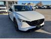 2024 Mazda CX-5 Sport Design (Stk: M24026) in Steinbach - Image 7 of 18