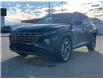 2024 Hyundai Tucson Hybrid Ultimate (Stk: 24-030) in Prince Albert - Image 1 of 14
