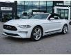 2021 Ford Mustang EcoBoost (Stk: P2416A) in Ottawa - Image 22 of 22
