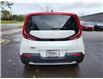 2022 Kia Soul EX (Stk: PL5185A) in Charlottetown - Image 6 of 19