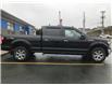 2020 Ford F-150 XL (Stk: N580411A-220) in St. John’s - Image 8 of 25