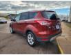 2014 Ford Escape SE in Charlottetown - Image 3 of 9