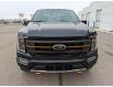 2023 Ford F-150 Tremor (Stk: 23259) in High River - Image 15 of 30