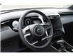 2024 Hyundai Santa Cruz Ultimate (Stk: 240069N) in Grand Falls - Image 19 of 29