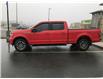 2020 Ford F-150 XLT (Stk: N586331A-220) in St. John’s - Image 4 of 24