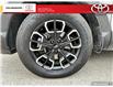 2023 Hyundai Santa Cruz Preferred (Stk: 20126C) in Collingwood - Image 6 of 14