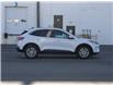 2020 Ford Escape SE (Stk: a01430) in Edmonton - Image 4 of 15