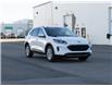 2020 Ford Escape SE (Stk: a01430) in Edmonton - Image 2 of 15