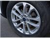 2020 Ford Escape SE (Stk: a01430) in Edmonton - Image 9 of 15